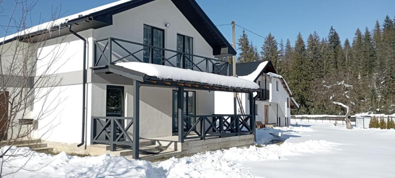 Affittacamere U Anastasii I Sofii Bilya Richki Mykulychyn Esterno foto