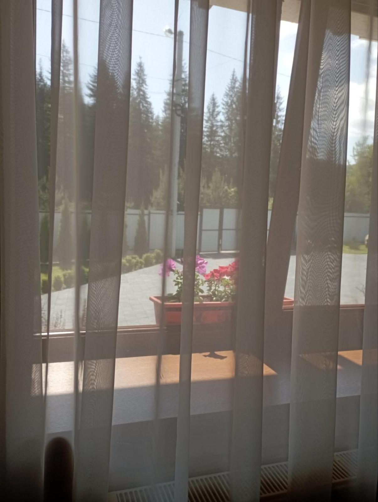Affittacamere U Anastasii I Sofii Bilya Richki Mykulychyn Esterno foto