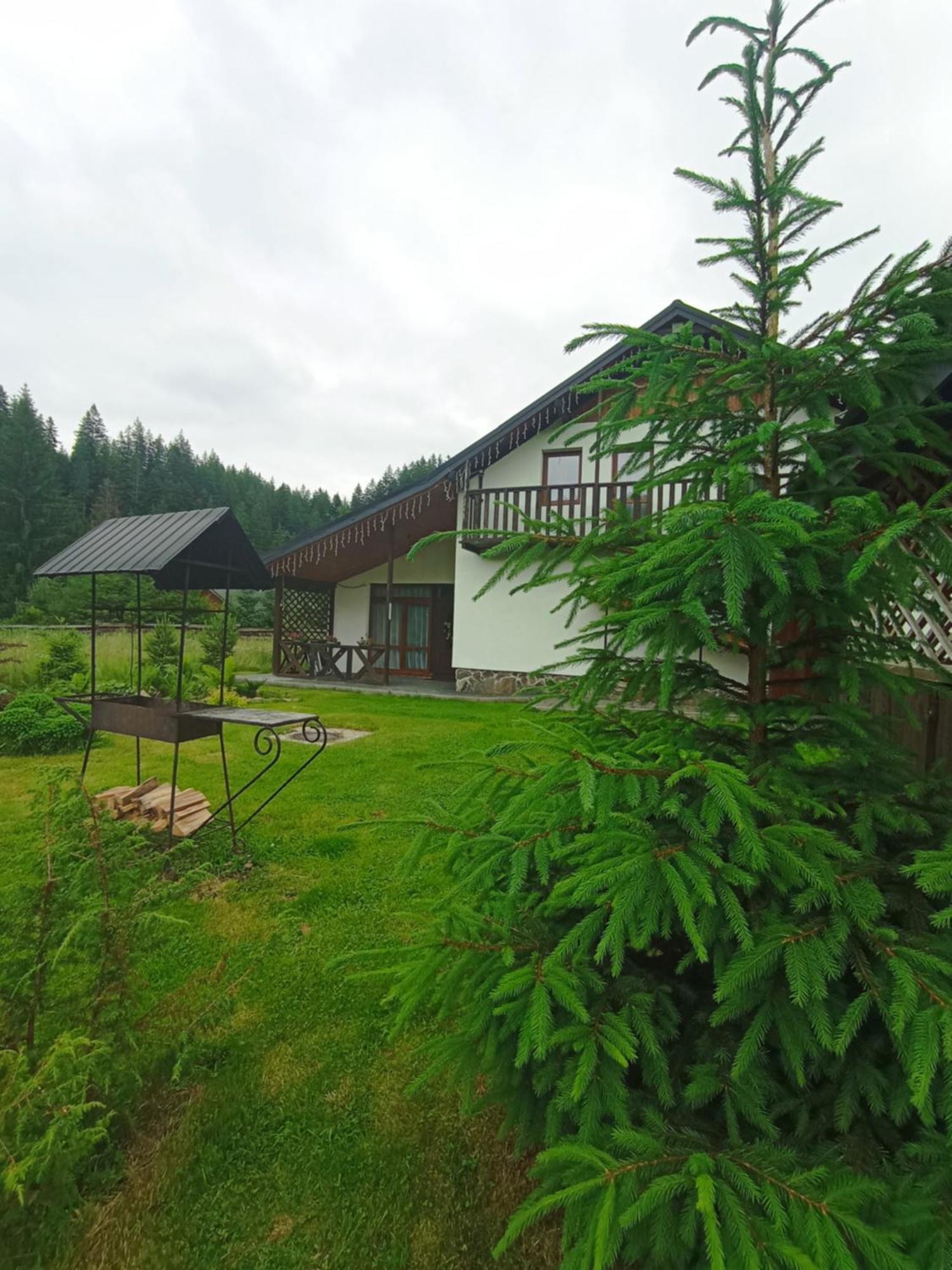 Affittacamere U Anastasii I Sofii Bilya Richki Mykulychyn Esterno foto