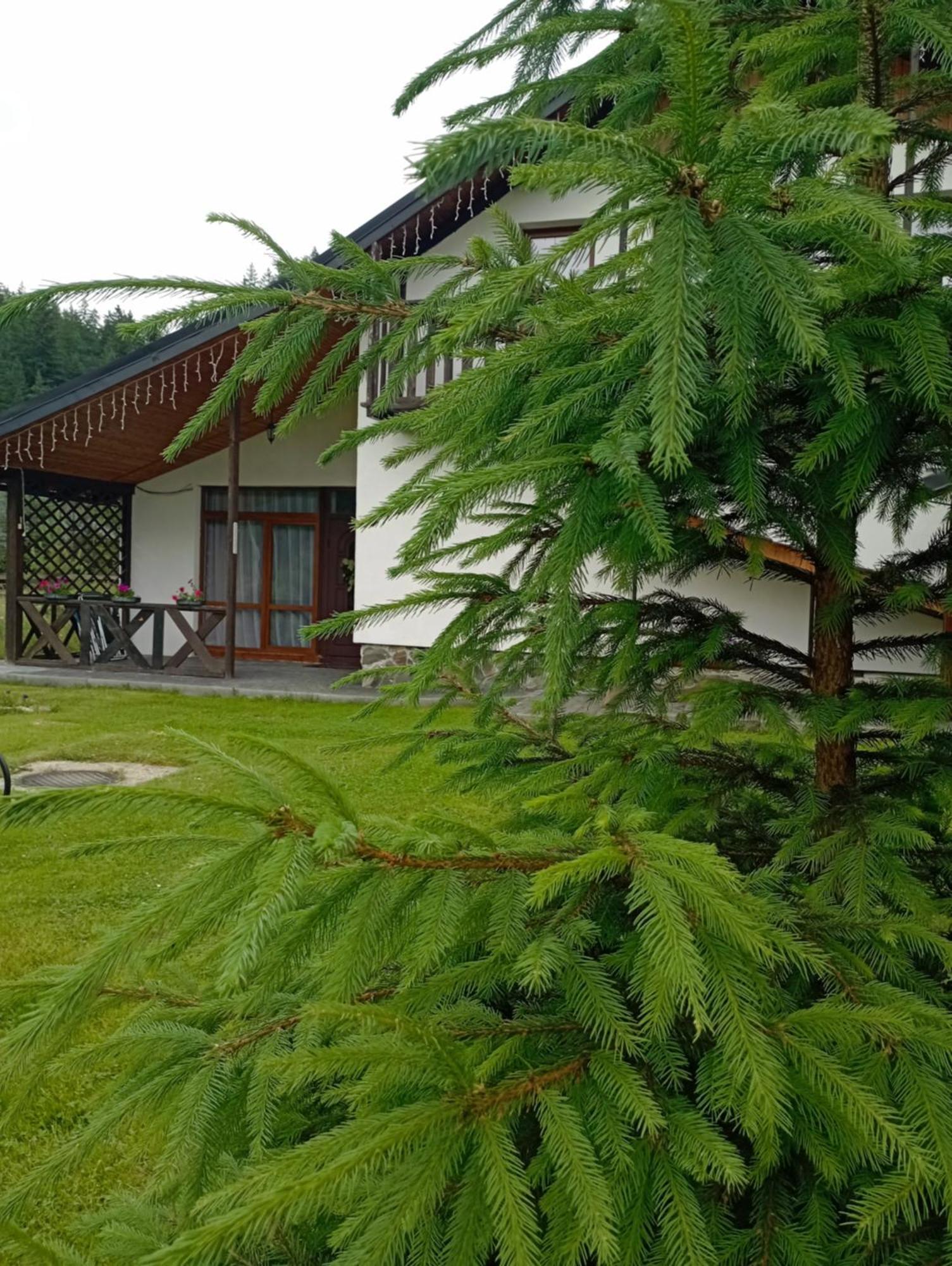 Affittacamere U Anastasii I Sofii Bilya Richki Mykulychyn Esterno foto
