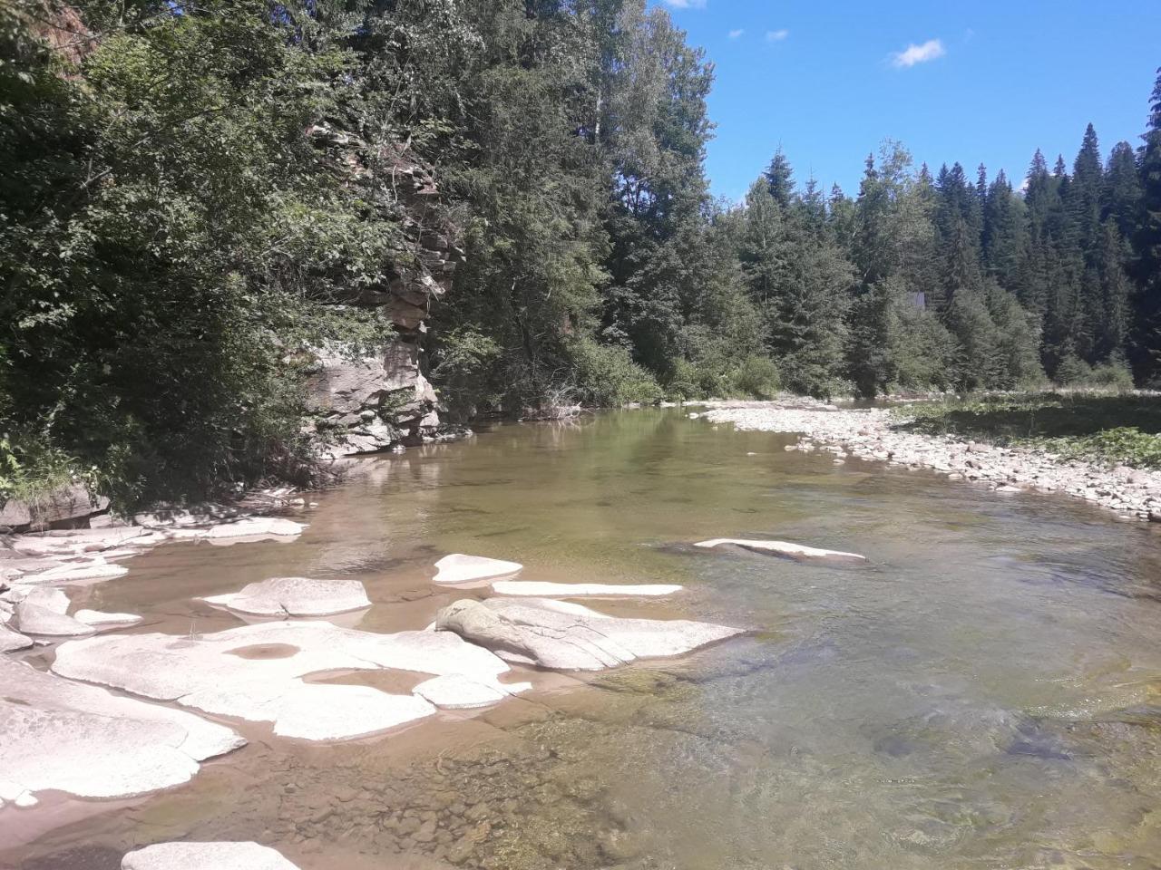 Affittacamere U Anastasii I Sofii Bilya Richki Mykulychyn Esterno foto