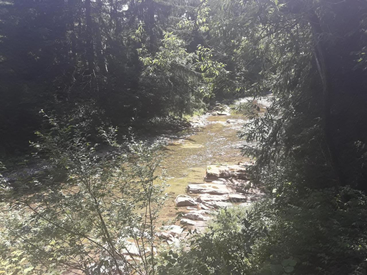 Affittacamere U Anastasii I Sofii Bilya Richki Mykulychyn Esterno foto
