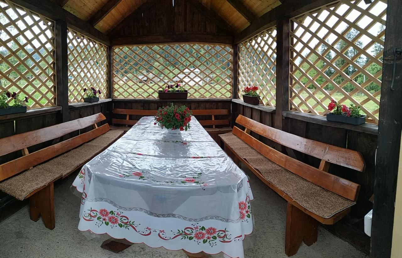 Affittacamere U Anastasii I Sofii Bilya Richki Mykulychyn Esterno foto